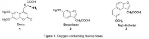 Read more about the article Fluorescent labeling of biomolecules with organic probes