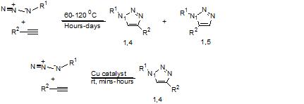 Scheme I: 1, 3-Cycloaddition reaction in the presence and absence of Cu1+ catalyst.