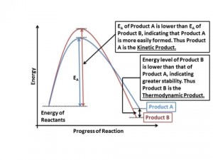Read more about the article Thermodynamic Product vs Kinetic Product – with example of enolate formation of 2-methylcyclohexanone