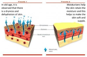 Read more about the article The Ageing Skin – Part 4b – Moisturizers