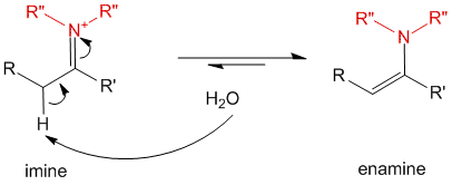 Figure 4 - Imine (which is charged) gets converted to Enamine (neutral)