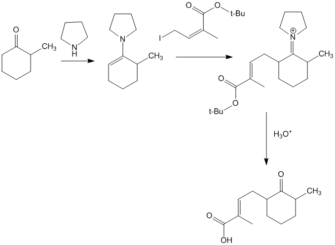 Reaction at the less reactive 6-position of 2-methyl cyclohexanone is forced due to formation of enamine