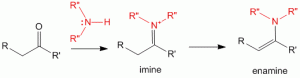 Read more about the article Imines and Enamines – Nitrogen Analogs of Enols and Enolates