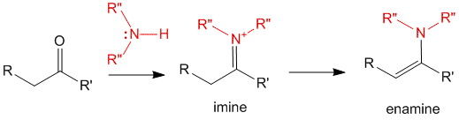 Figure 1 - Reaction of carbonyl containing compound with amine yields imine and enamine