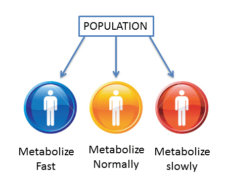 Pharmacogenetics helps in identifying parts of the population based on how they react to a particular drug. In this figure it shows that pharmacogenetics helps in segregating the population according to the rate of metobolism of a particular drug.
