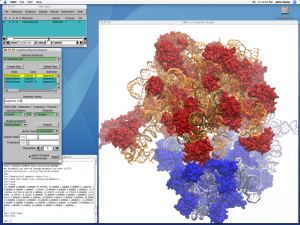 Read more about the article Visual Molecular Dynamics – VMD