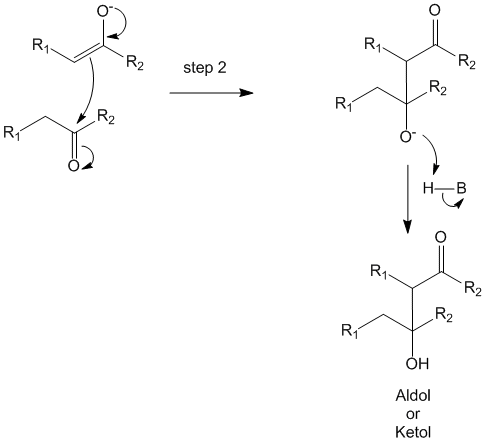 Enolate attacts the second carbonyl molecule. This leads to formation of another ionic species which extracts the proton from the protonated base (HB)