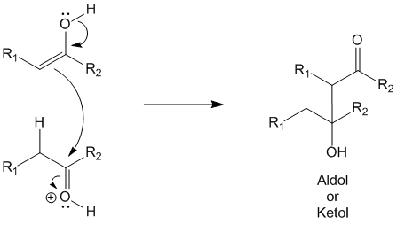 Step 3 - Reaction of two intermediates to produce the aldol or ketol.