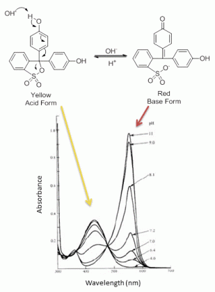 Acid and Base forms of phenol red along with their UV spectra at different pH demonstrates chemical deviations of Beer-Lambert law in UV-Visible spectroscopy