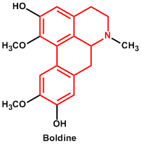 boldine
