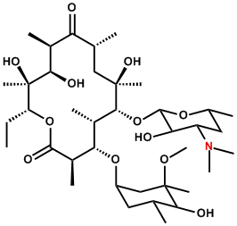 Erythromycin