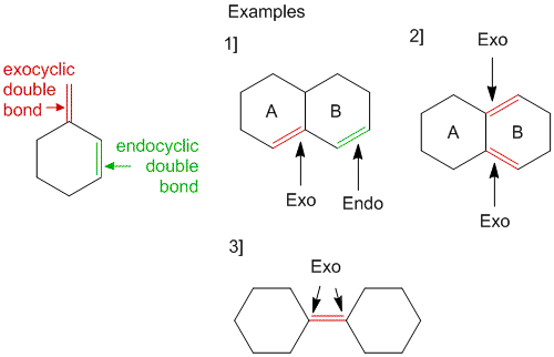 Examples of Exocyclic and Endocyclic Double Bonds