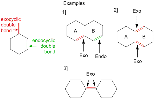 Double Bond Example