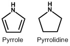 Pyrrole and Pyrrolidine