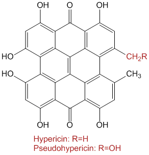 Structure of hypericin and pseudohypericin - two major constituents of St. John's Wort