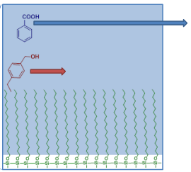 Principle of Reversed-Phase Chromatography HPLC/UPLC (with Animation) |  Analytical Chemistry 