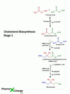 Read more about the article Biosynthesis and Regulation of Cholesterol (with Animation)