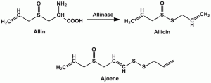 Structures of Allin, Allicin and Ajoene