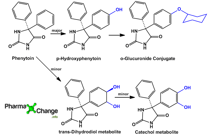 Metabolism of Phenytoin