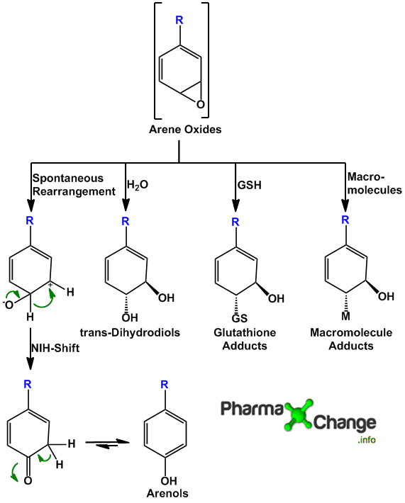 Arene oxides possible reactions
