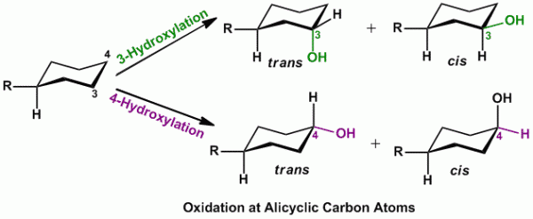 Metabolism via Alicyclic Oxidation