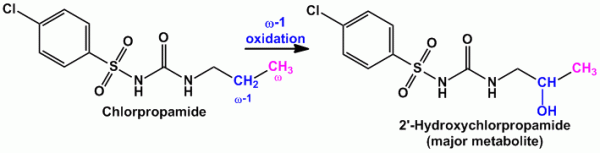 Metabolism of Chlorpropamide by aliphatic oxidation