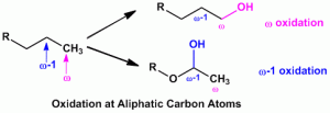 Read more about the article Phase I Metabolism-Oxidative Reactions-Oxidation of Aliphatic and Alicyclic Compounds